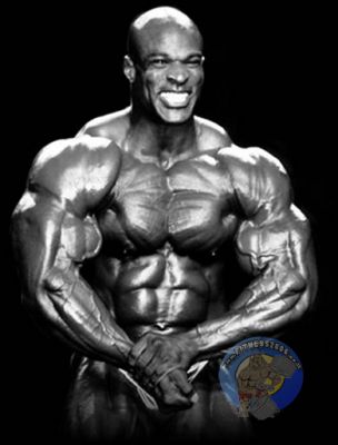 לחץ לתצוגת גודל מלא