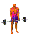 http://fitness2006.co.il/images/Bicepsy.gif