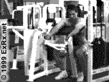 http://fitness2006.co.il/images/LVPreacherCurl.gif